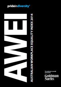 2014 AWEI Publication