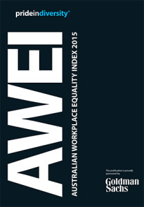 2015 AWEI Publication