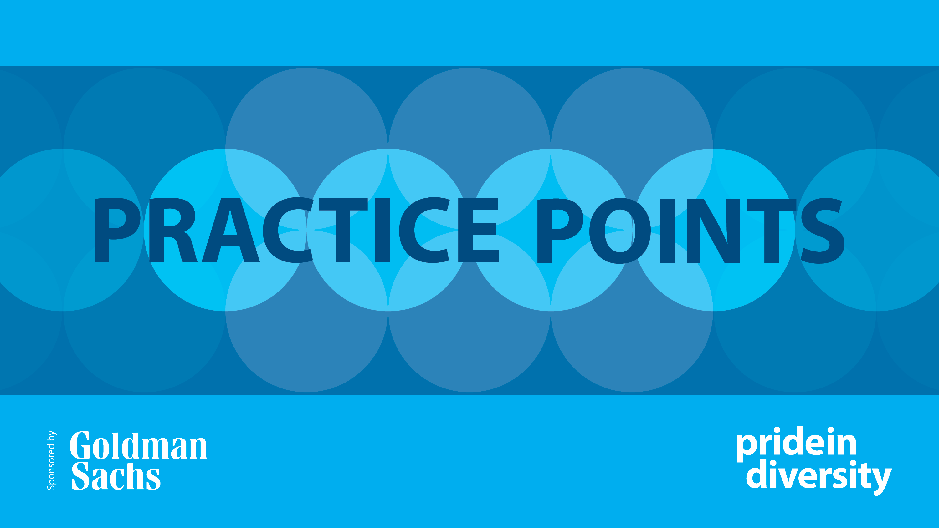 2022-awei-practice-points-australian-workplace-equality-index